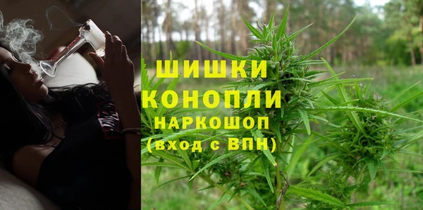 spice Алзамай