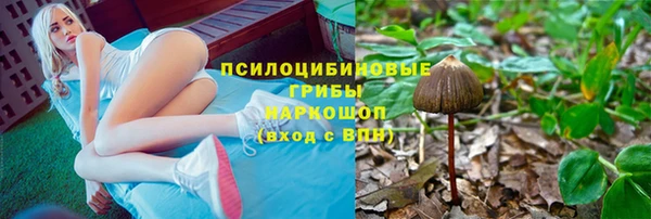 spice Алзамай