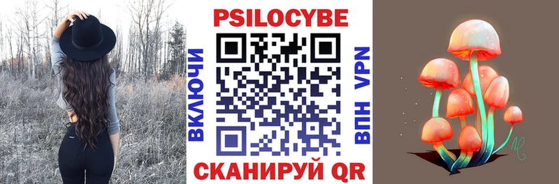 Псилоцибиновые грибы Cubensis Канаш