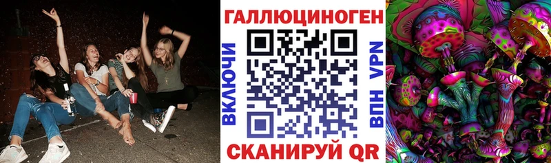 Галлюциногенные грибы Psilocybe  наркошоп  Канаш 