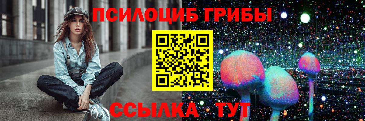 Галлюциногенные грибы Cubensis  Псилоцибиновые грибы MAGIC MUSHROOMS  Канаш  Вход с VPN 