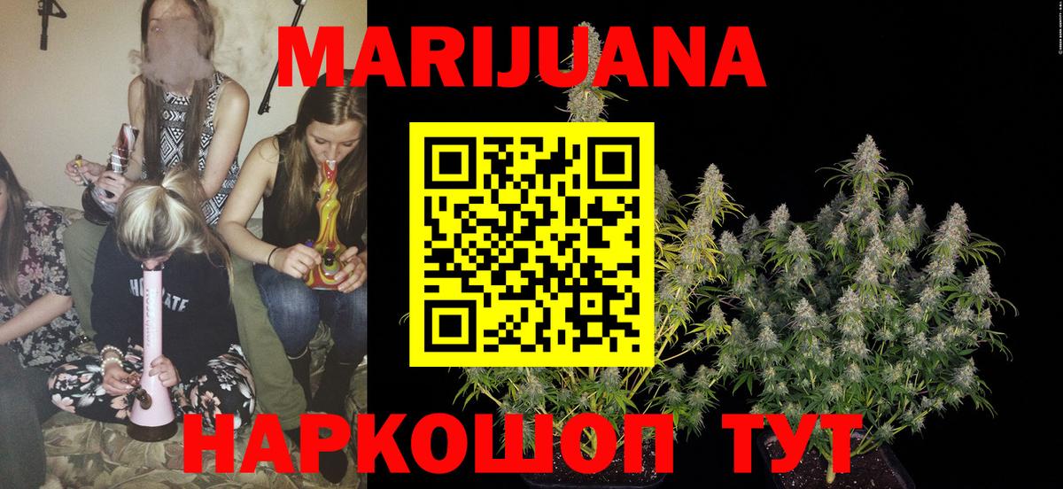 Марихуана OG Kush Канаш